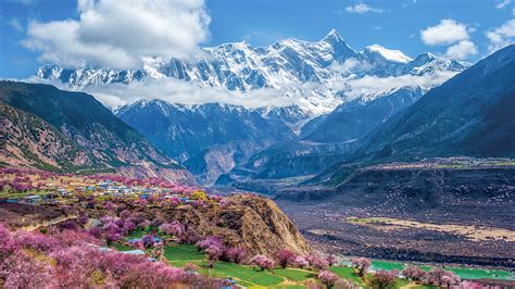 Das Bzongkhang-Kloster! Ein spirituelles Juwel im Herzen von Nyingchi.