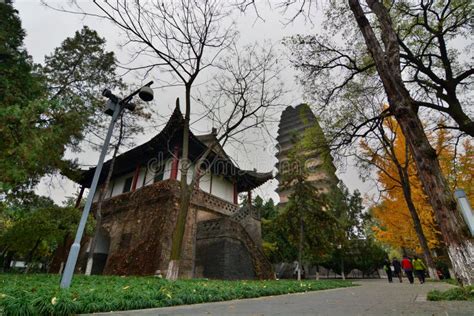  Die Kleine Wilde Gans: Ein verstecktes Juwel der chinesischen Kalligraphie in Xi’an!