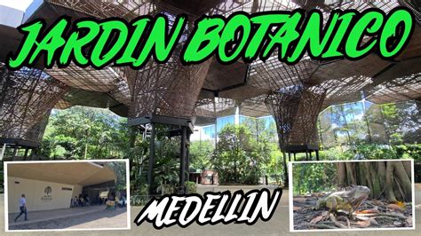 Der Jardín Botánico de Medellín: Ein Paradies der tropischen Flora und ein Ort zum Genießen des kolumbianischen Lebens!