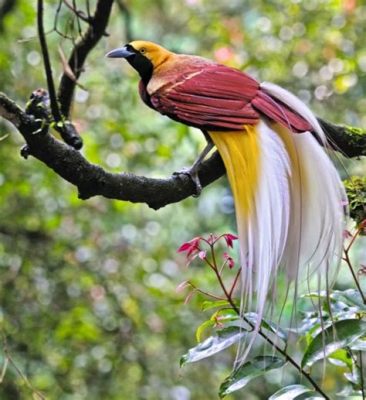  Der Menglian-Regenwald: Ein Paradies für Vogelbeobachter und Abenteurer!