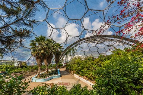 The Eden Project: Ein faszinierendes Biom und ein grünes Juwel in Cornwall!